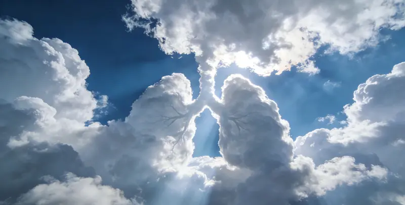 曲靖肺癌（EGFR T790M)突变检测图片1