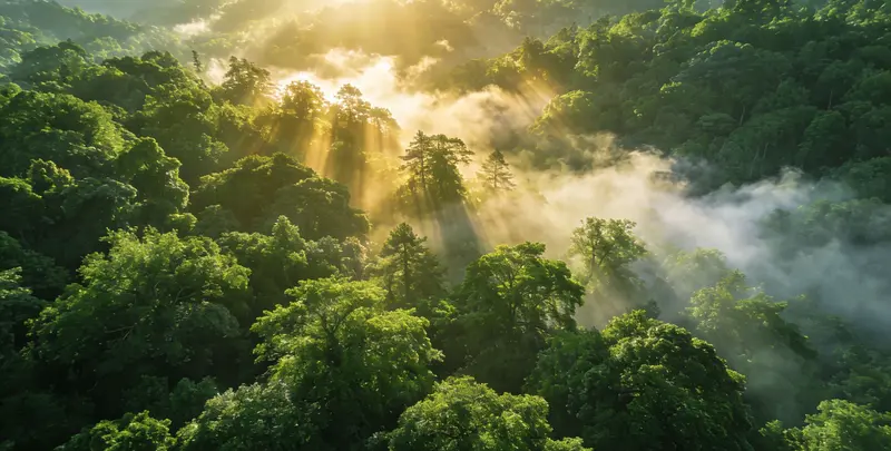 曲靖肺癌13基因突变检测（组织）图片1